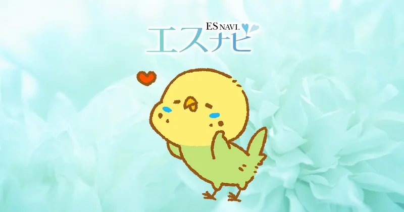 エスナビの媒体イメージ
