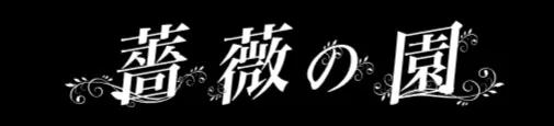 ソープランドジャパンの媒体イメージ